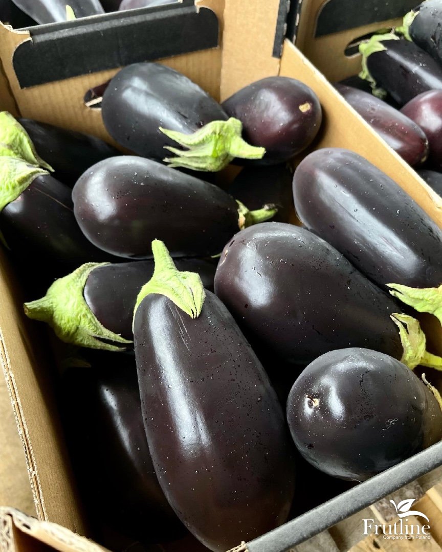 FarmMaster Grade B Fresh Fresh Eggplant - Extra Large (2kg)