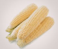 Fresh Harvest Organic Dried White Maize - Large (5kg) - Pack