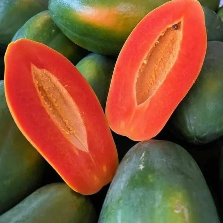 Premium Fresh Organic Premium Premium Fresh Red Pawpaw - Medium (1kg) - Box