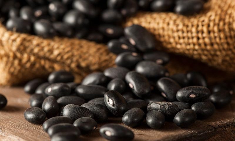 Premium Beans Organic Organic Black Beans - Jumbo (10kg) - Pack