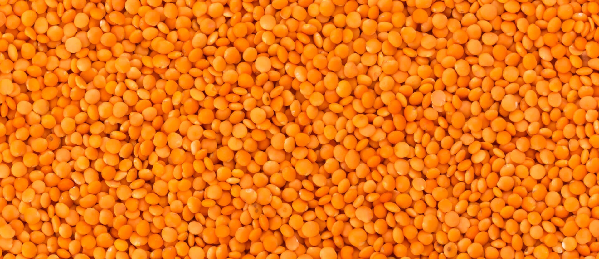 Farm Fresh Grade A Premium Organic Red Lentils - Small (250g)