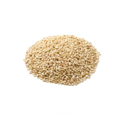 Premium Produce Organic Pearl Barley - Extra Large (2kg)