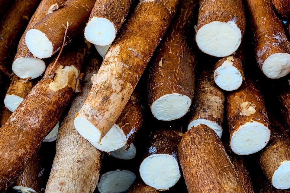 Farm Fresh Grade A Premium Farm Fresh Fresh Cassava - Large (1kg)