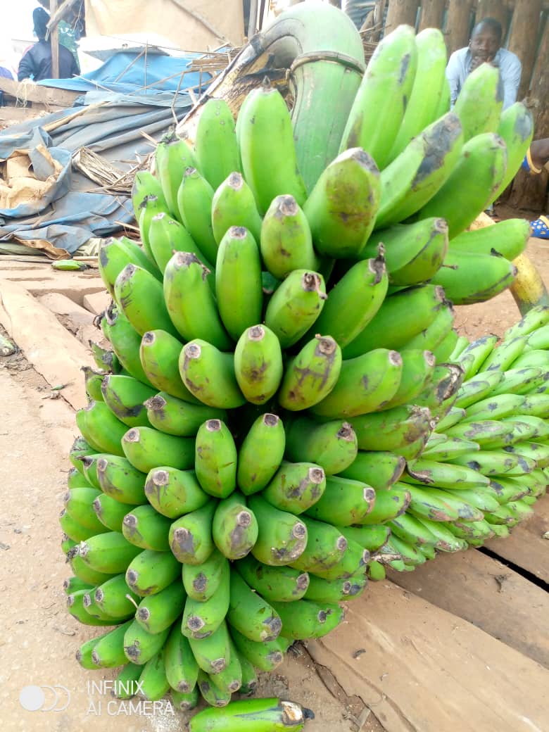 Organic Valley Grade A Farm Fresh Fresh Bananas - Large (1kg)