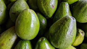 Organic Farm Grade A Premium Premium Fresh Avocado - Small (500g) - Bulk
