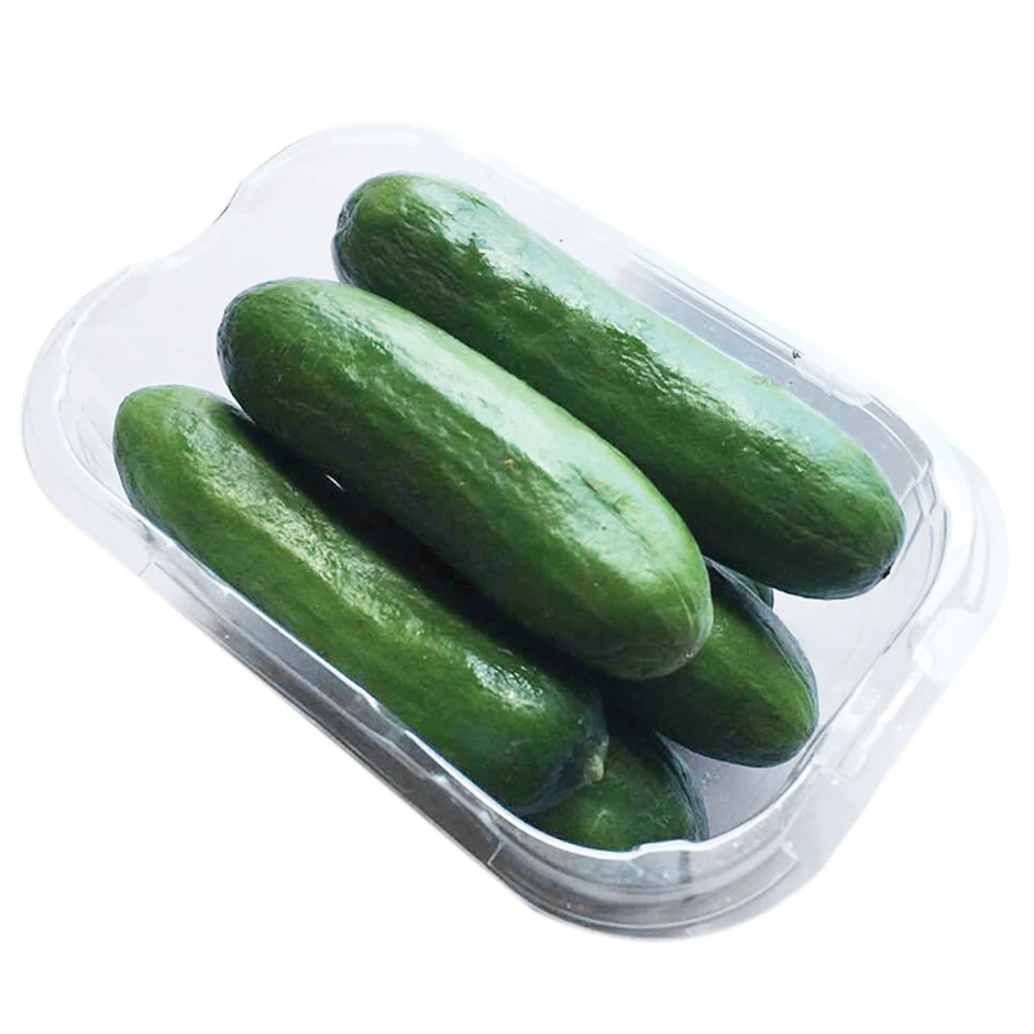 Organic Valley Grade A Premium Organic Fresh Cucumber - Large (1kg)