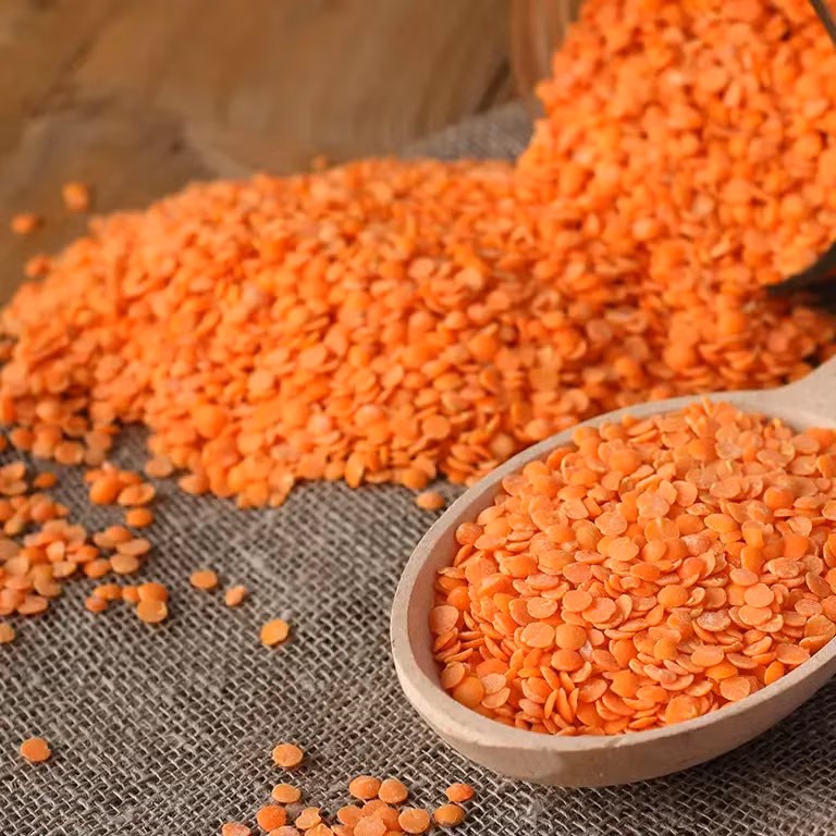 FarmMaster Grade A Premium Red Lentils - Medium (500g)