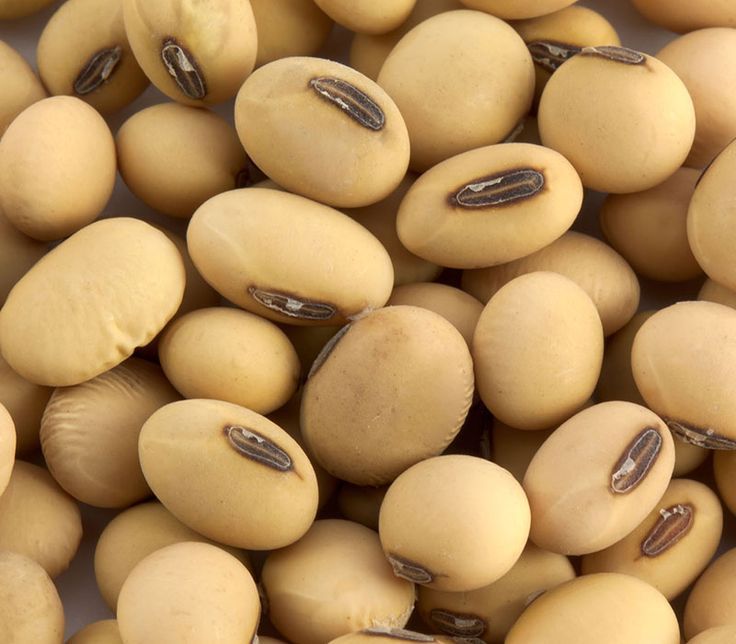 Farm Fresh Grade B Fresh Raw Soybeans - Large (1kg)
