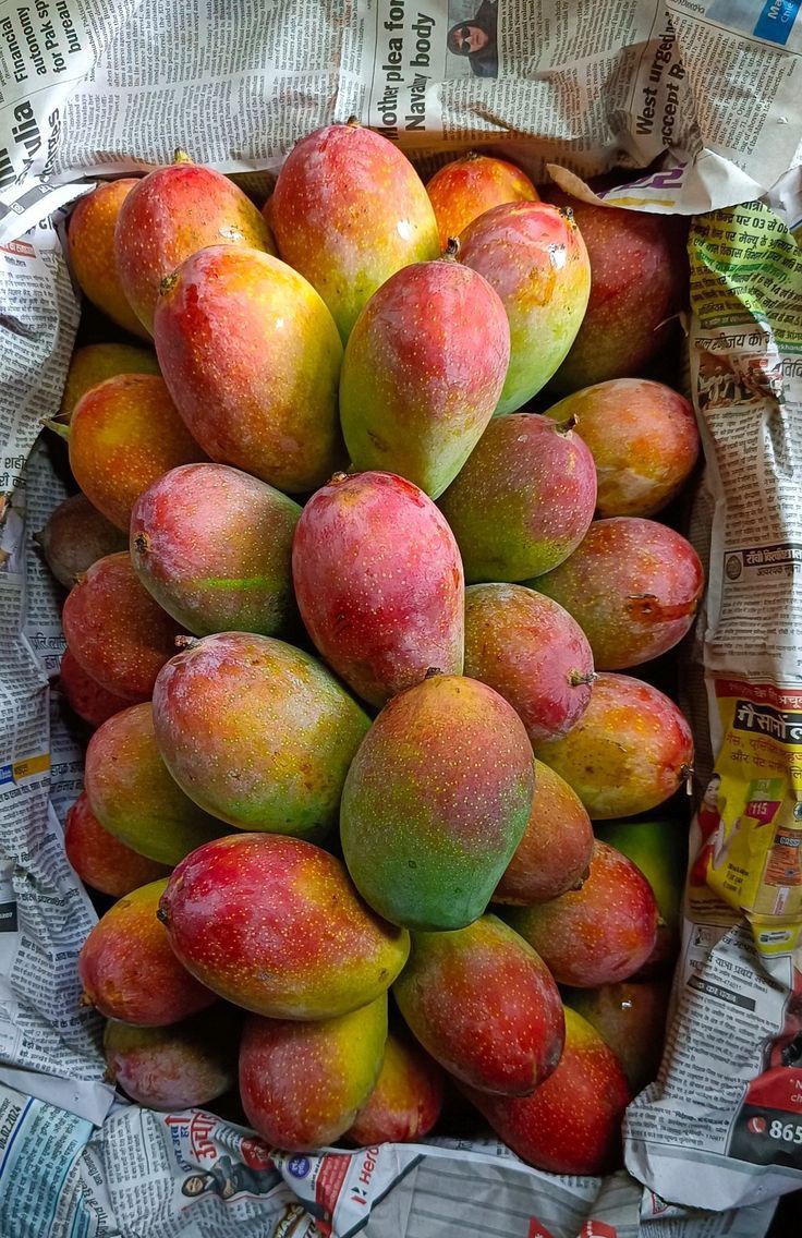 Premium Produce Grade A Premium Farm Fresh Fresh Mangoes - Extra Large (2kg)