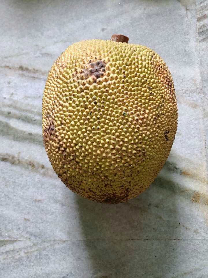 Premium Produce Grade A Dried Fresh Jackfruit - Small (250g)