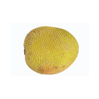 Harvest Organic Fresh Jackfruit