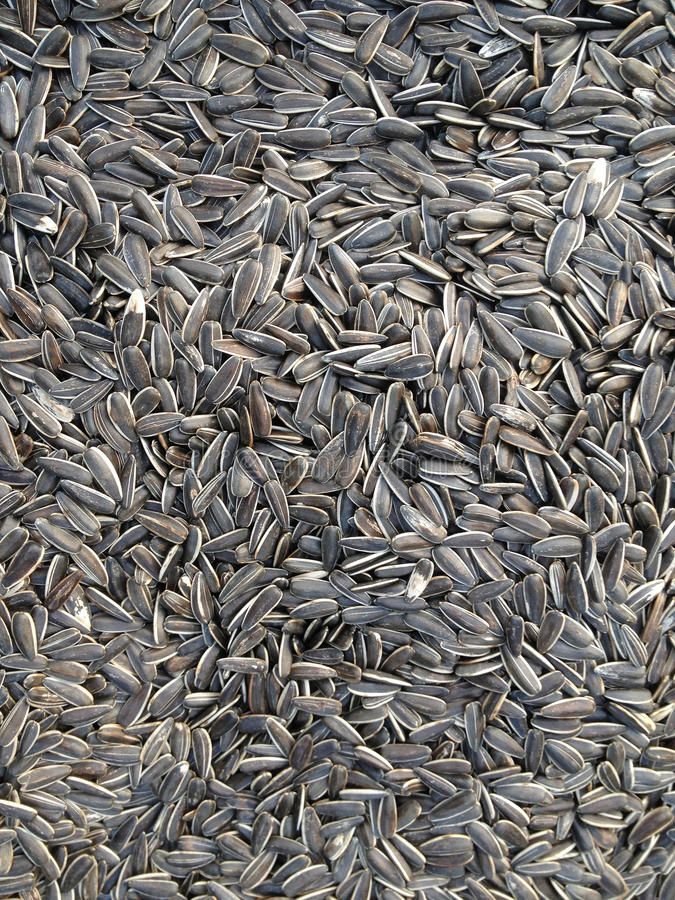 Organic Valley Grade A Dried Raw Sunflower Seeds - Extra Large (2kg)