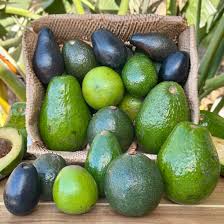 Organic Valley Organic Premium Farm Fresh Avocado - Small (500g) - Pack