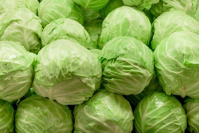 Organic Premium Green Cabbage - Extra Large (2kg)