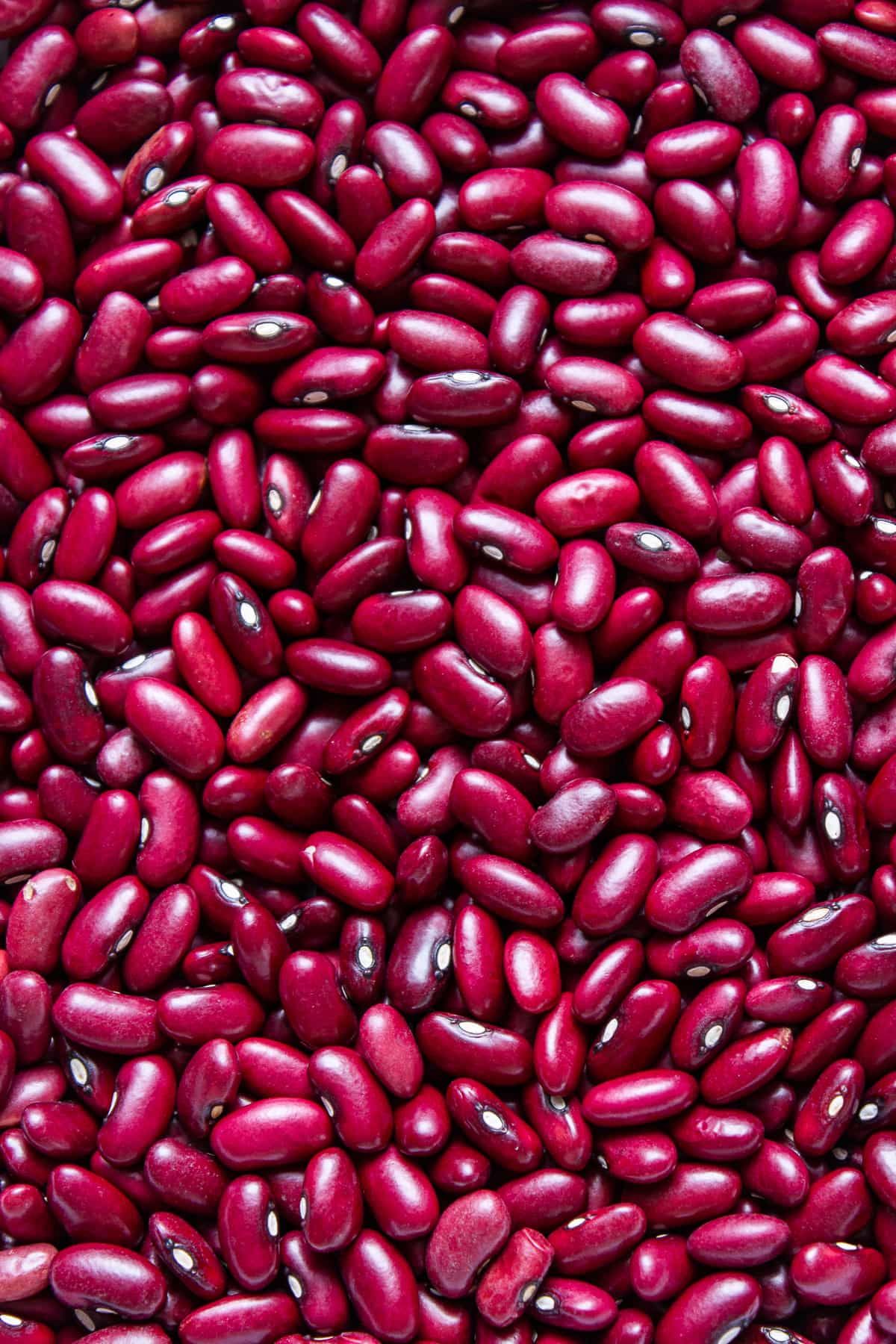 FarmMaster Organic Dried Red Kidney Beans - Extra Large (2kg)