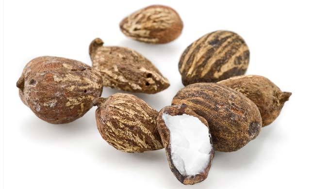 Premium Nuts Grade B Dried Raw Shea Nuts - Medium (500g)