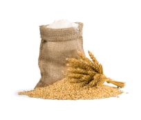 Natural Grains Organic Premium Hard Red Wheat - Large (5kg) - Bulk