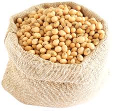 Farm Fresh Grade A Dried Raw Soybeans - Small (250g)