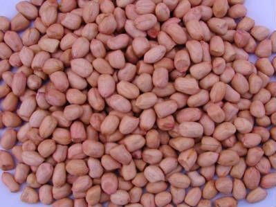 FarmMaster Grade B Farm Fresh Raw Groundnuts - Medium (500g)