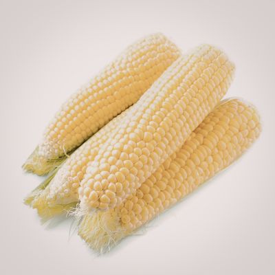 Farm Direct Grade A White Maize - Extra Large (10kg) - Bulk