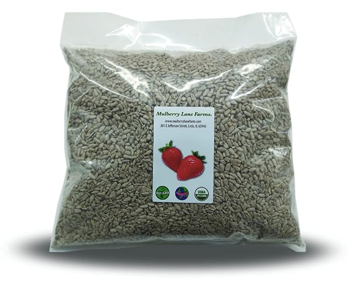 SeedMaster Organic Premium Raw Sunflower Seeds - Large (1kg)