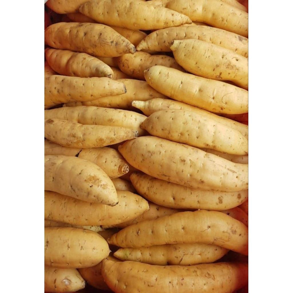 Premium Produce Organic Premium Fresh Fresh Sweet Potatoes - Medium (500g)