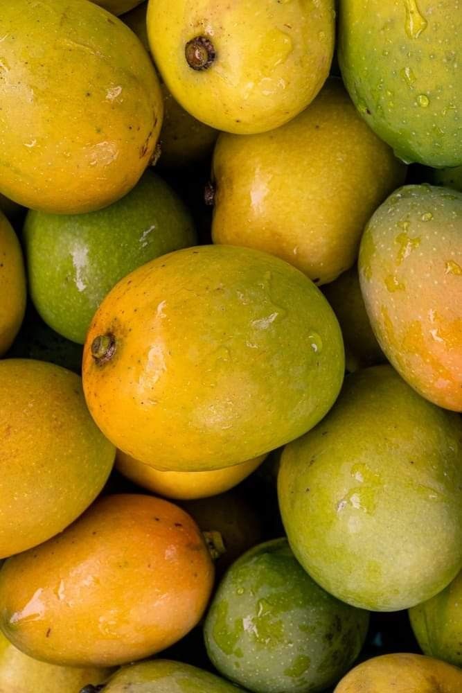 Farm Fresh Grade A Premium Fresh Mangoes - Medium (500g)