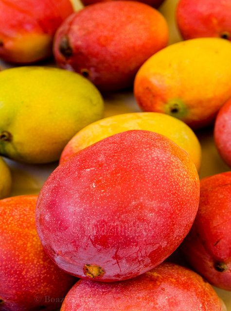 Premium Produce Grade A Premium Fresh Fresh Mangoes - Medium (500g)