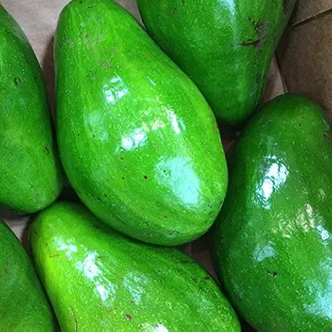 Green Fields Grade A Ready to Eat Avocado - Small (500g) - Bulk