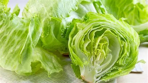 Harvest Direct Organic Premium Organic Iceberg Lettuce - Extra Large (2kg)