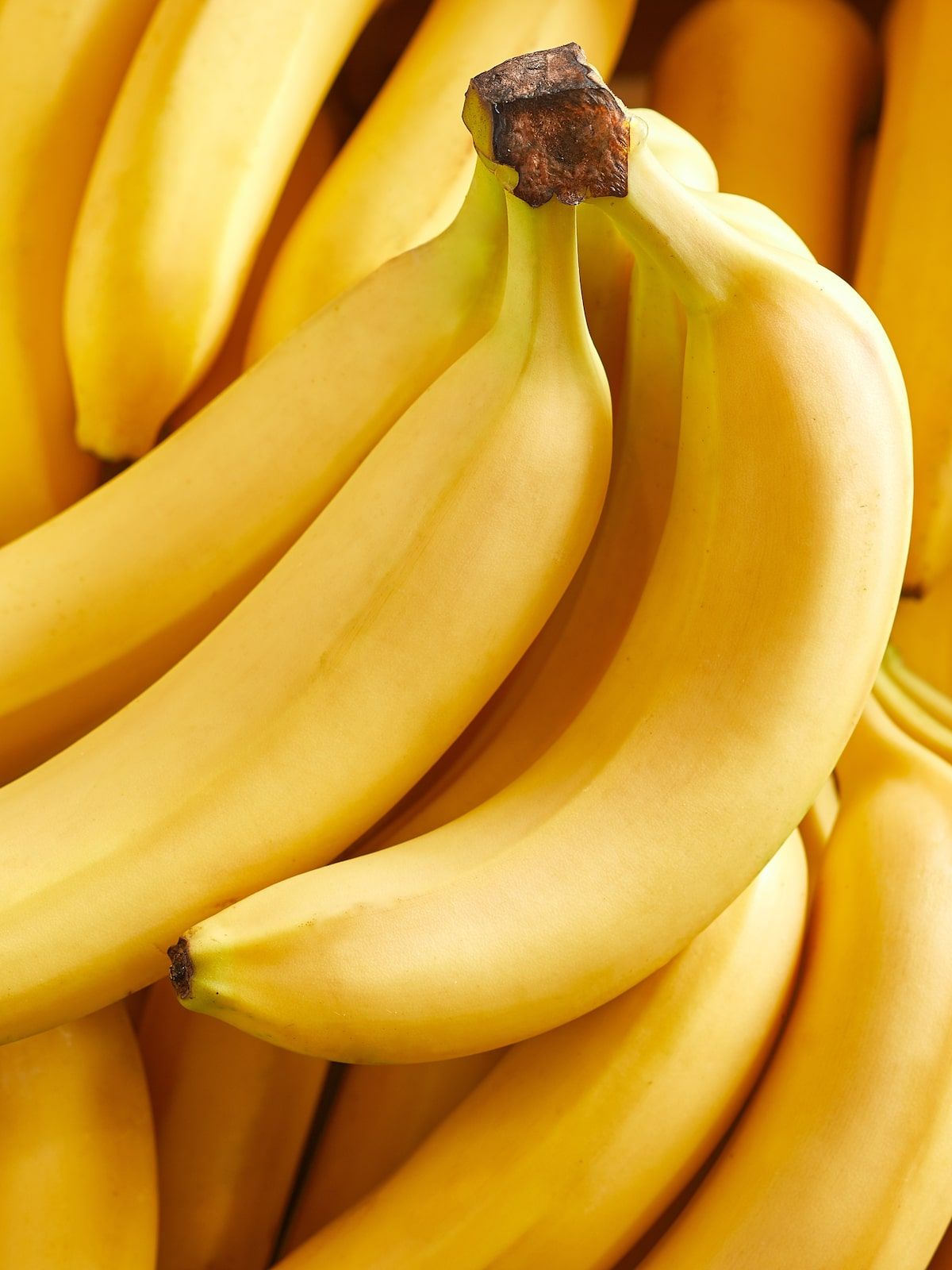 Harvest Direct Organic Organic Fresh Bananas - Extra Large (2kg)