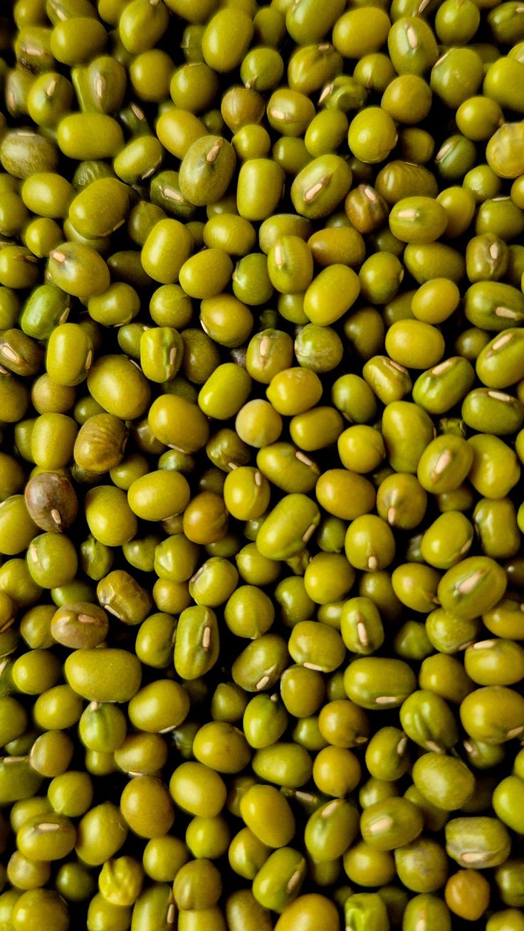 Premium Produce Organic Premium Farm Fresh Green Grams - Large (1kg)