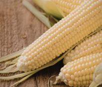 Farm Direct Grade A Dried White Maize - Large (5kg) - Bulk
