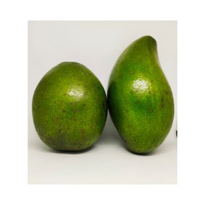 Grade A Ripe Avocado - Small (500g) - Box