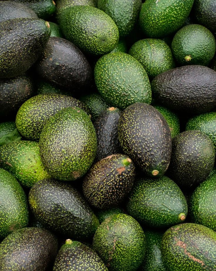 Farm Fresh Commercial Grade Organic Avocado - Small (500g) - Loose