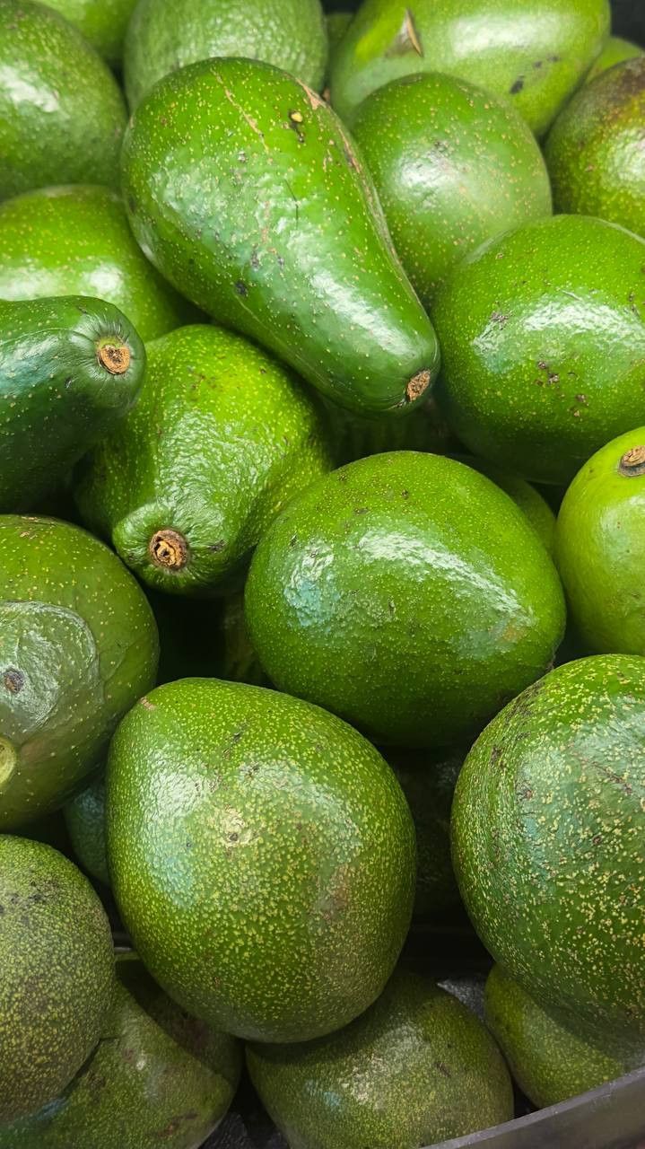 FreshFarm Grade A Premium Ready to Eat Avocado - Small (500g) - Box