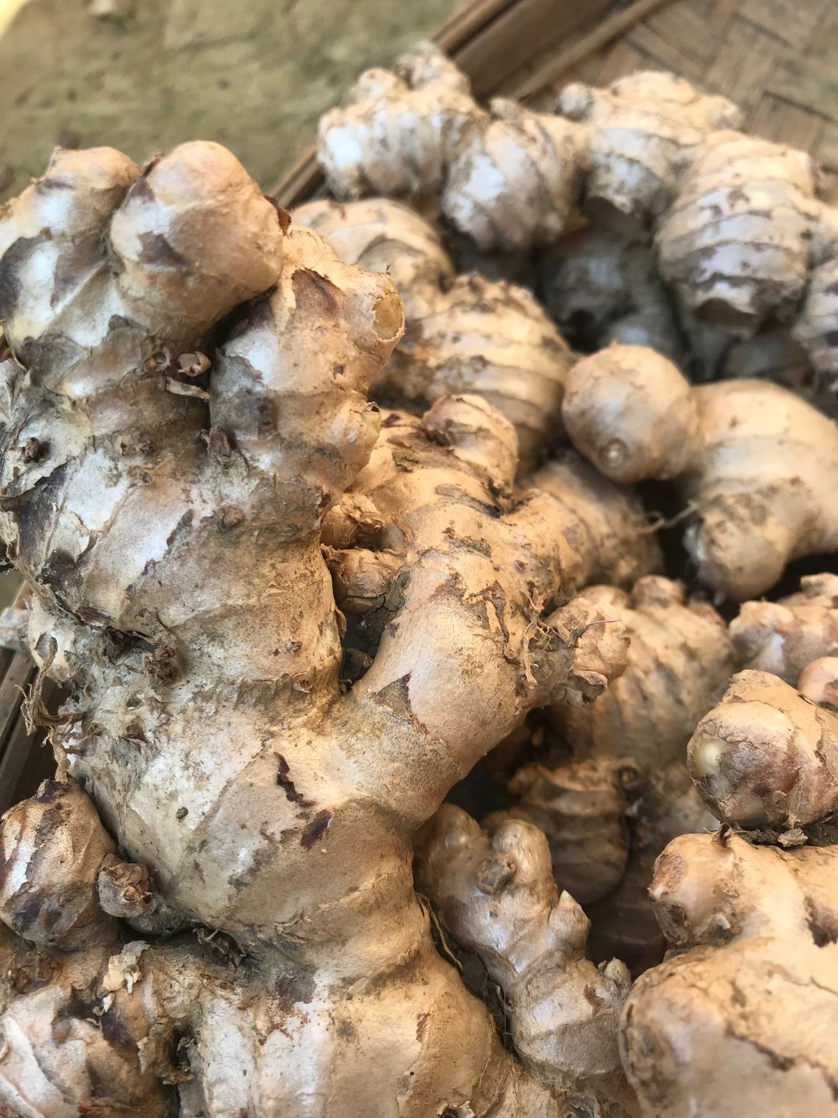 Farm Fresh Grade A Premium Farm Fresh Fresh Ginger - Medium (500g)