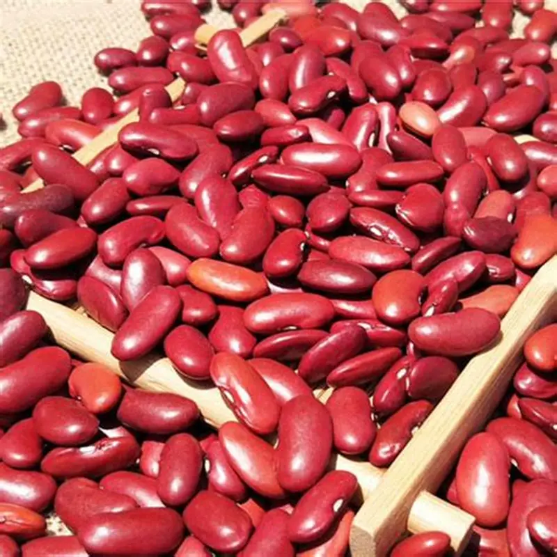 Farm Fresh Legumes Grade B Fresh Red Beans - Extra Large (5kg) - Box