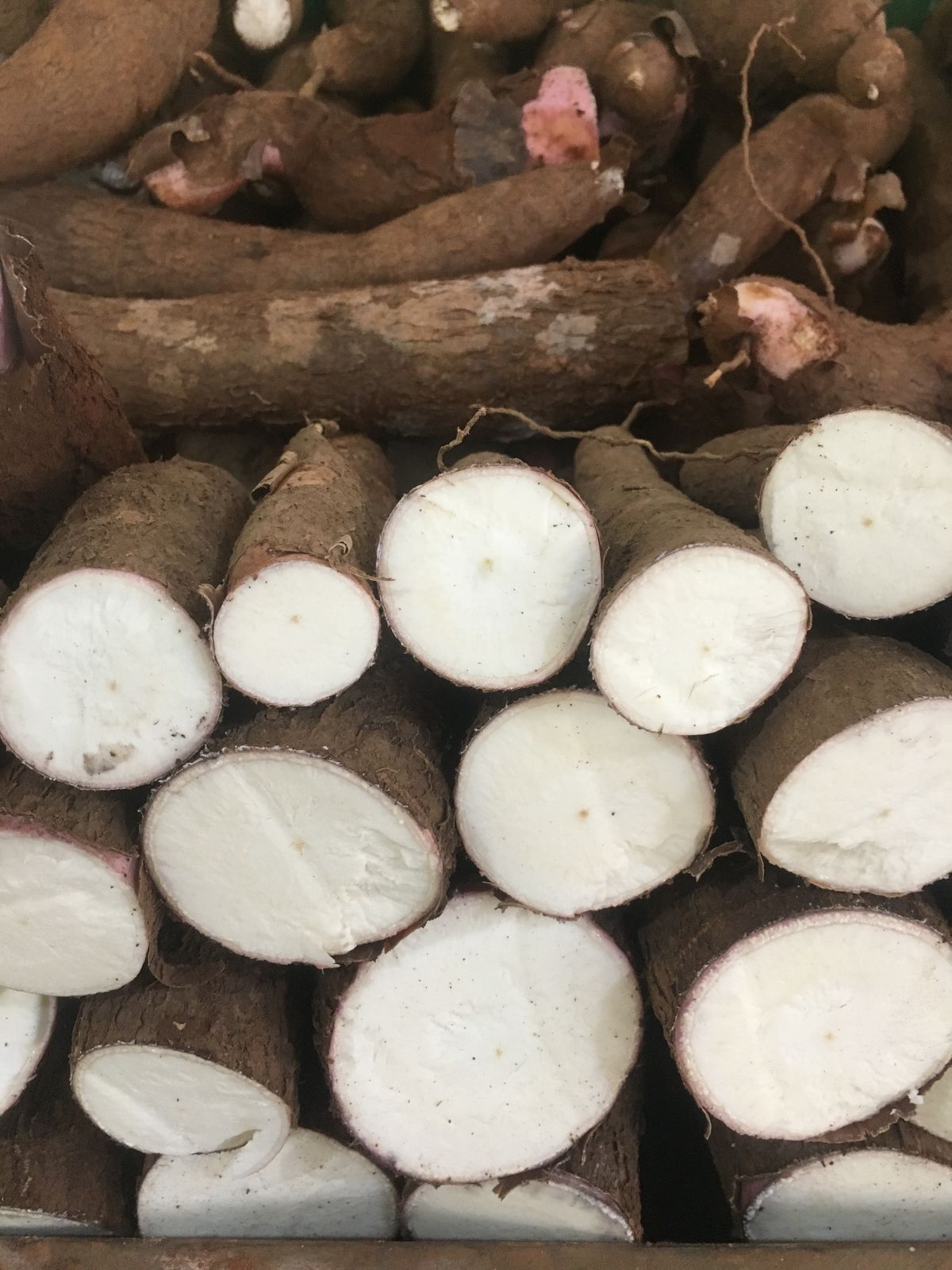 FarmMaster Grade A Organic Fresh Cassava - Small (250g)