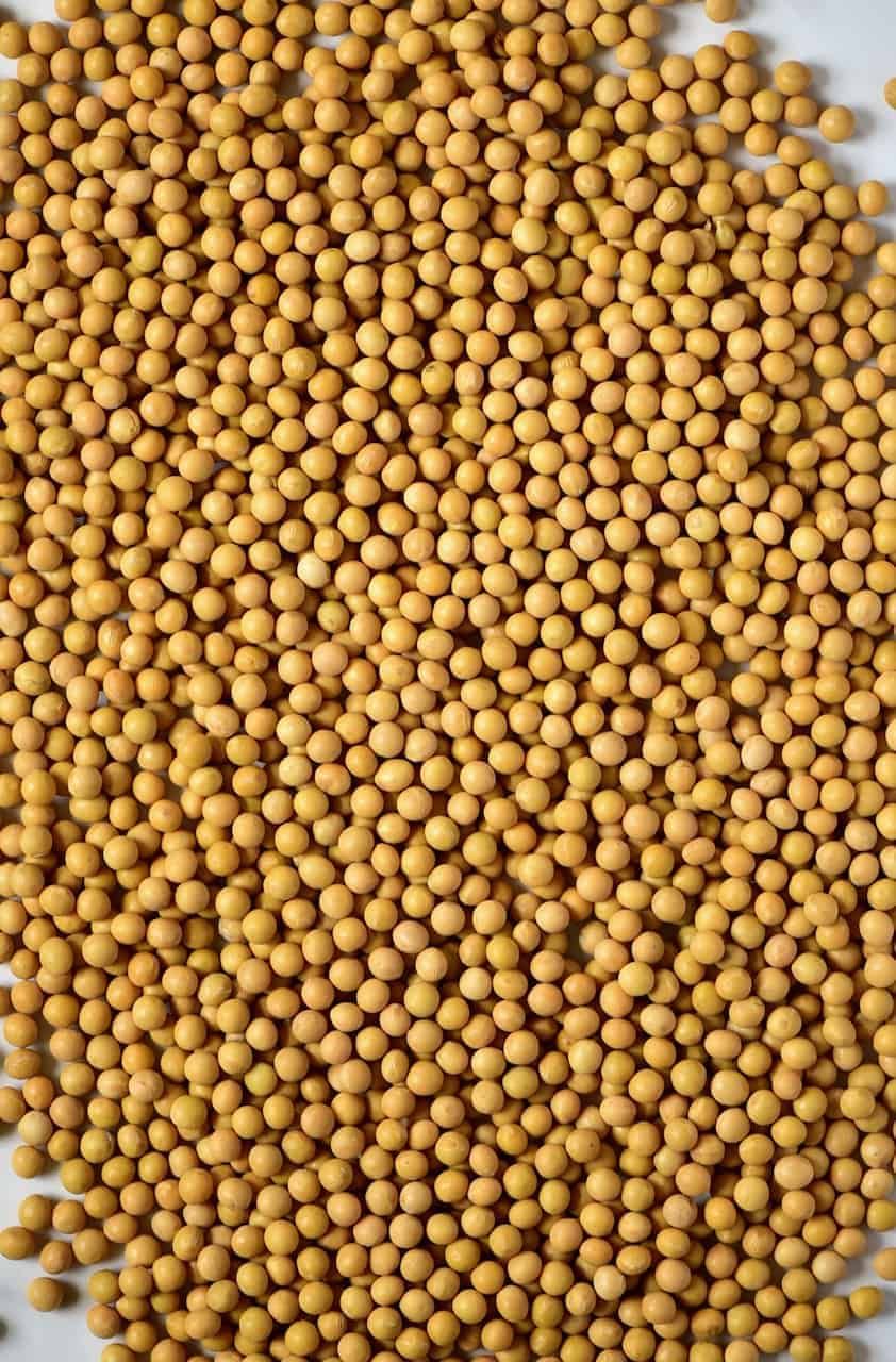 Farm Fresh Grade A Farm Fresh Raw Soybeans - Extra Large (2kg)