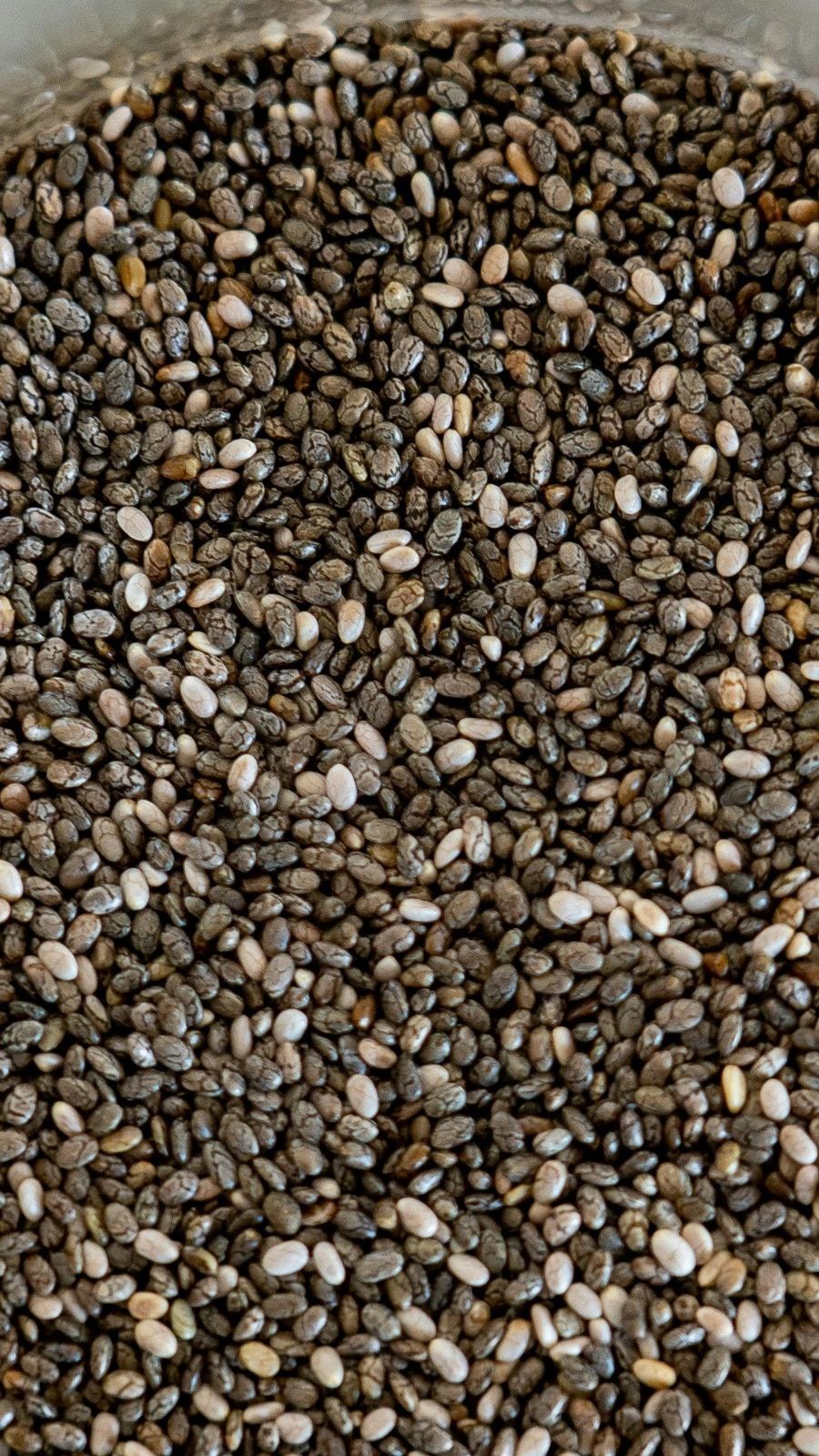 Premium Seeds Grade B Premium Raw Chia Seeds - Extra Large (2kg)