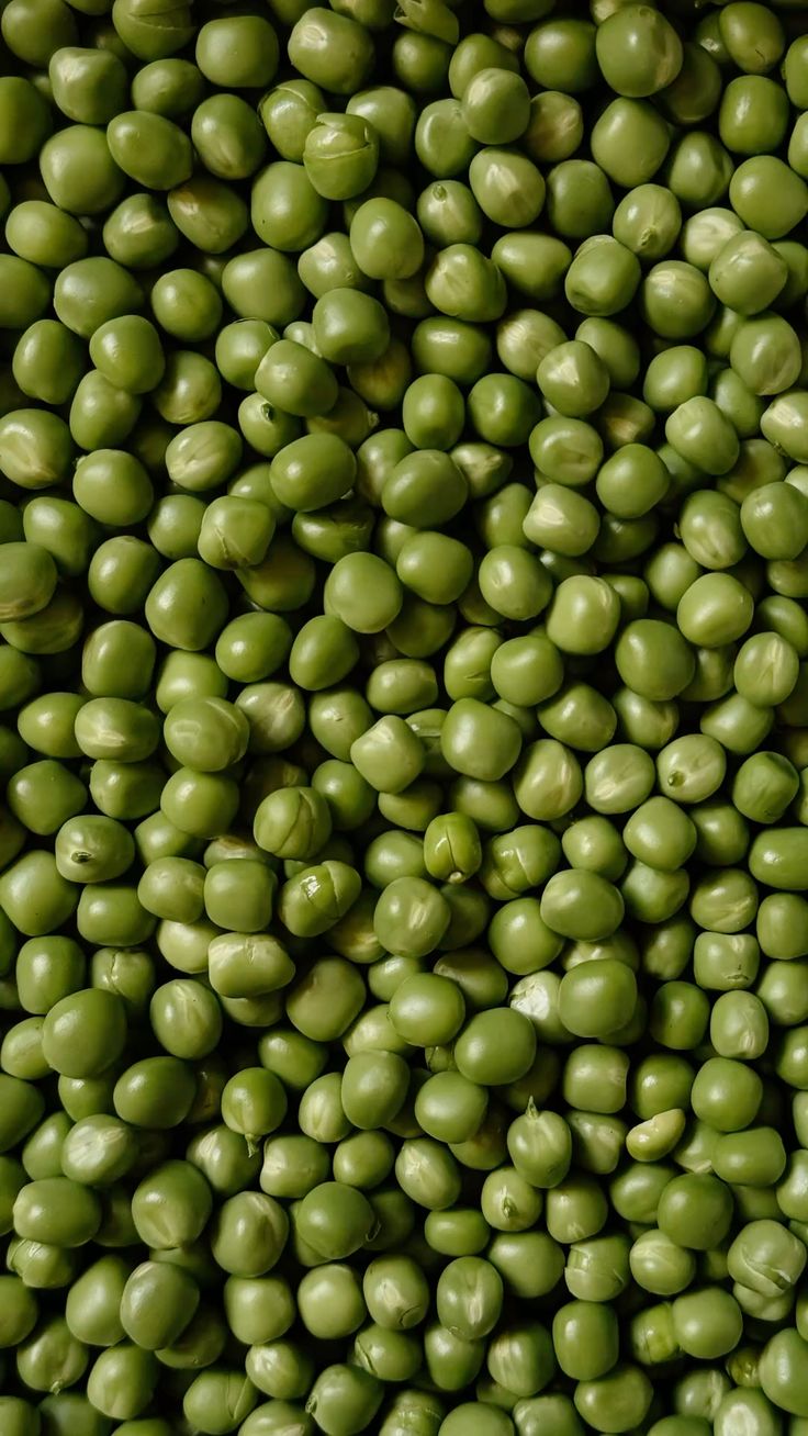 Premium Produce Grade B Farm Fresh Green Grams - Extra Large (2kg)