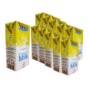 JESA Pack of 12 Vanilla Flavoured Milk -200ml