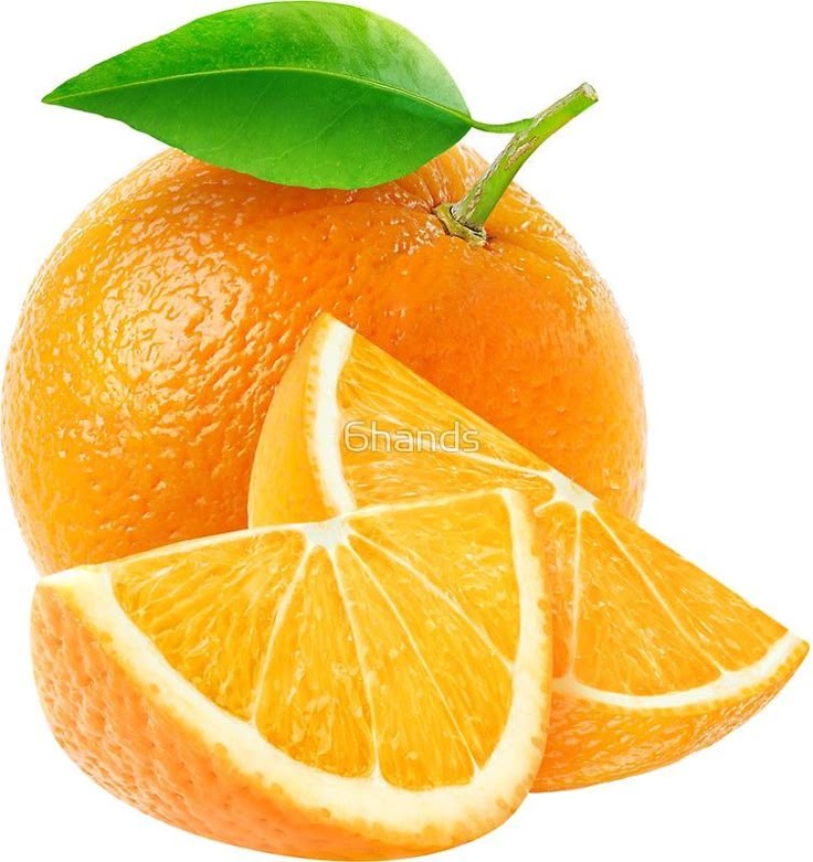 Harvest Organic Fresh Oranges