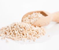 Harvest Direct Grade A Organic Pearl Barley - Small (250g)