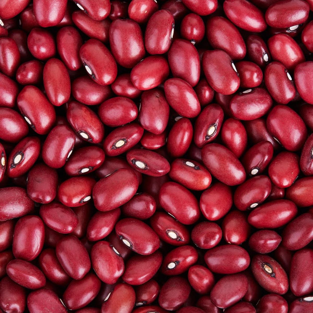 FarmMaster Grade A Premium Red Kidney Beans - Extra Large (2kg)