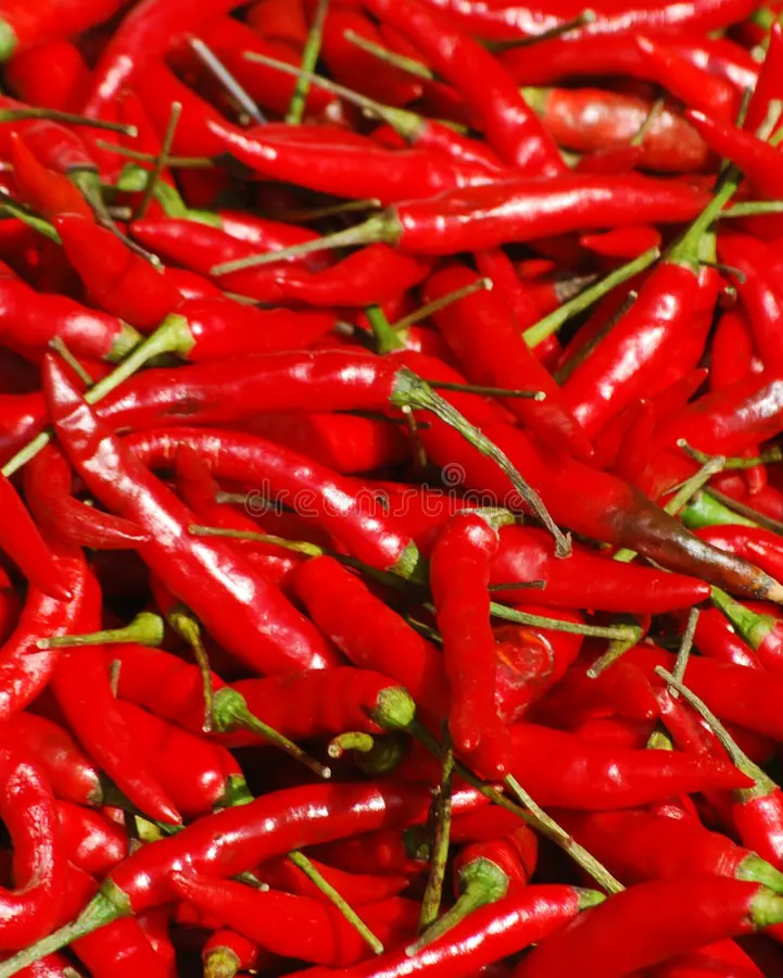 Organic Spice Grade B Farm Fresh Dried Red Chillies - Small (250g) - Bag