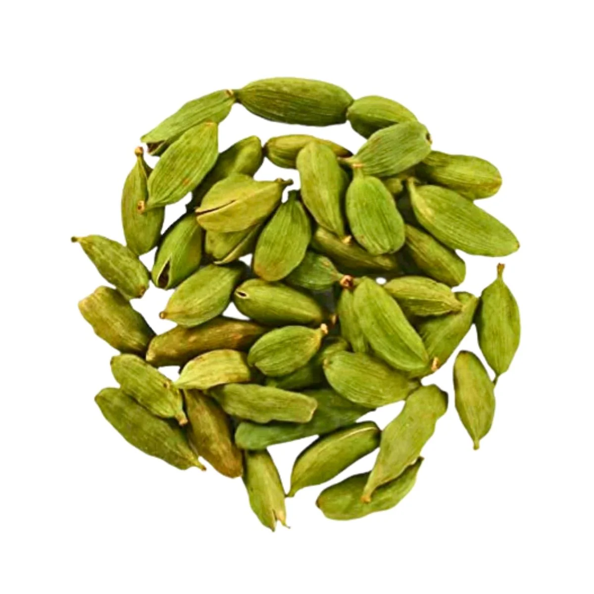Organic Valley Organic Premium Fresh Cardamom Pods - Small (250g)