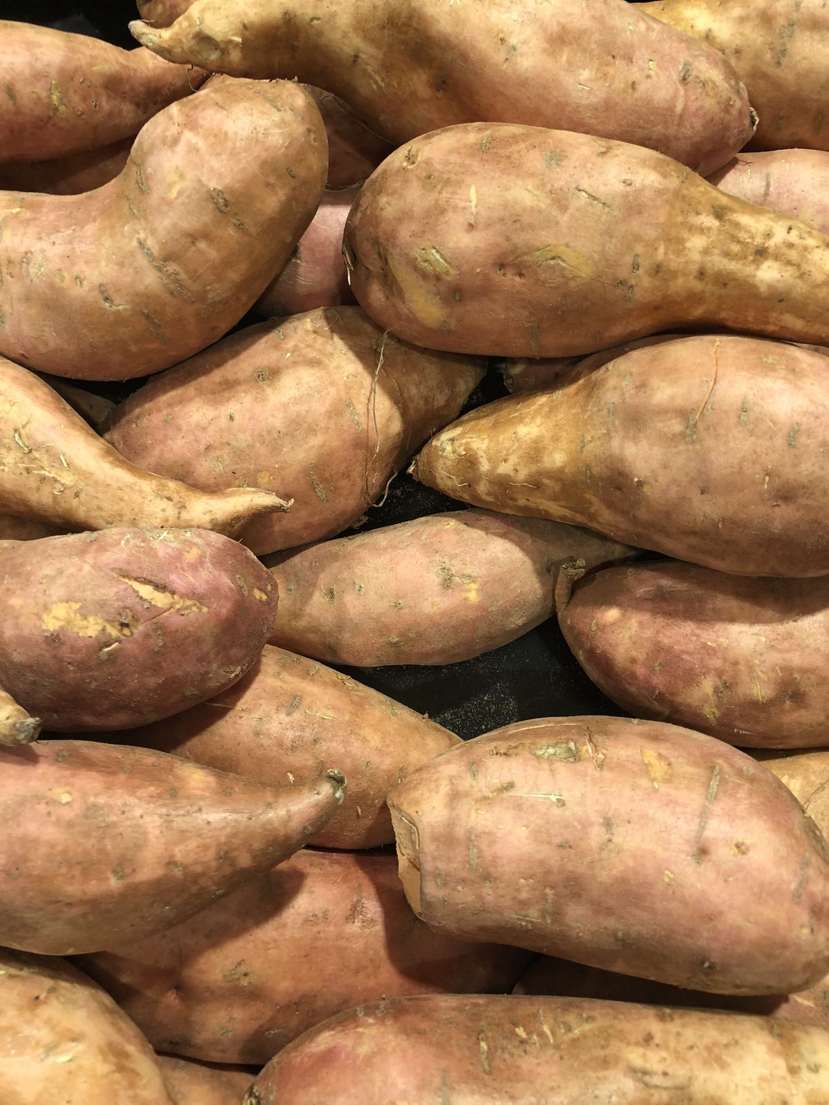 Harvest Direct Organic Premium Premium Fresh Sweet Potatoes - Medium (500g)