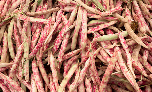 Quality Beans Commercial Grade Shelled Red Beans - Medium (1kg) - Pack